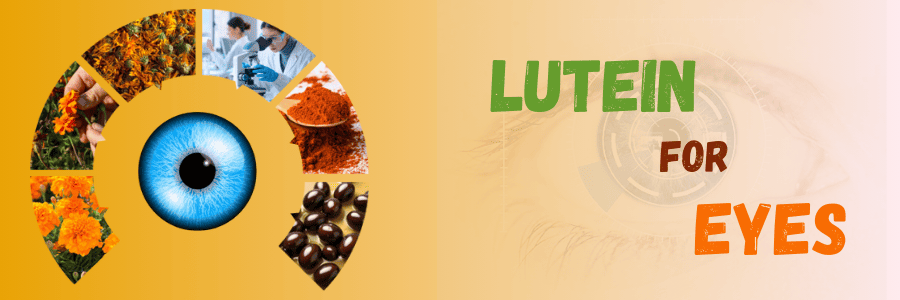 Lutein for Eyes: What Science Says About Preventing Vision Loss